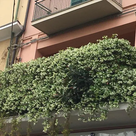 Casa Dana
